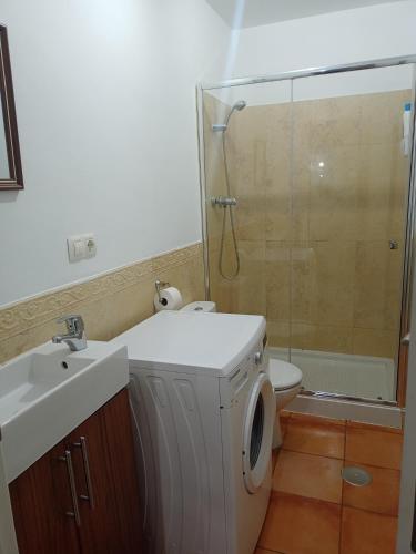 a bathroom with a toilet and a sink and a shower at Apartamento La Carmela in Utrera