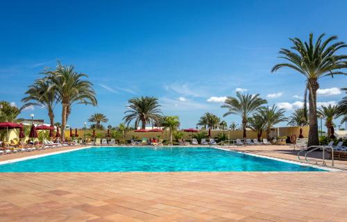 Πισίνα στο ή κοντά στο Casa LEX I Ocean & Sunrise Panorama I Steps from Dunes and Beach I Private 50 sqm terrace I Pool