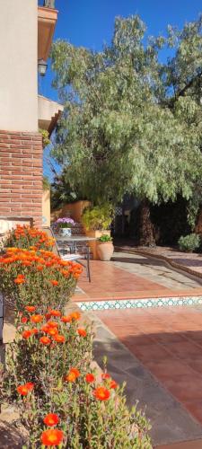 Κήπος έξω από το Chalet Trolio bed & breakfast
