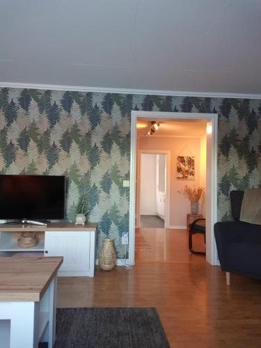 a living room with a tv and a couch at 'Bij de buren' in Norra Skoga