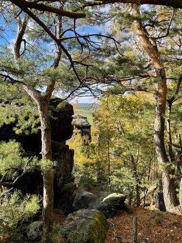 a trail in the woods with trees and rocks at Fox House Tisá / Rájec in Tisá