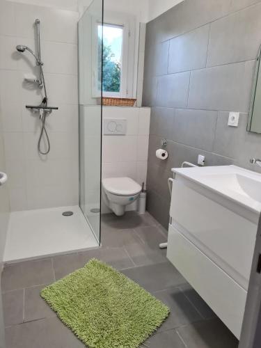 a bathroom with a shower sink and a toilet at Appartement confort in Île de Diane