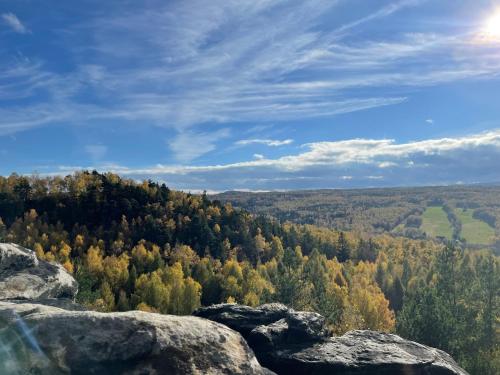 a view from the top of a mountain with trees at Fox House Tisá / Rájec in Tisá