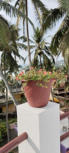 a potted plant sitting on top of a white stand at Udaya Hotel in Vilinjam