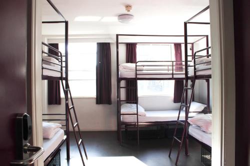 Bed in 6-Bed Male Dorm Ensuite
