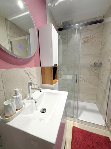 une salle de bain avec un lavabo blanc et une douche dans l'établissement Les Cascades, T2 duplex avec climatisation et balcon, à Lons-le-Saunier