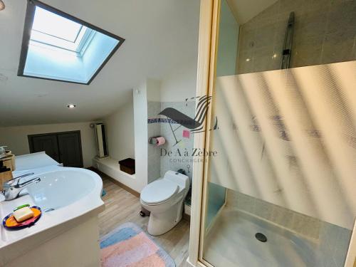 ein Badezimmer mit Dusche, Toilette und Waschbecken in der Unterkunft Le Ferney - Proche du centre-ville et des thermes in Rochefort