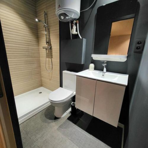 a bathroom with a toilet and a sink and a shower at Les studios de la Fontaine in Hornu