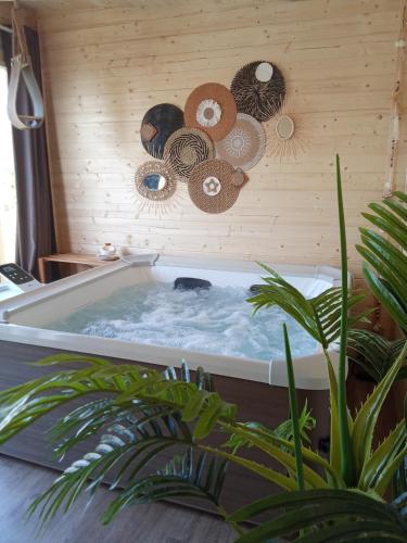 un jacuzzi dans une pièce avec des plantes dans l'établissement Suite climatisée jacuzzi privé, à Lachapelle-Auzac