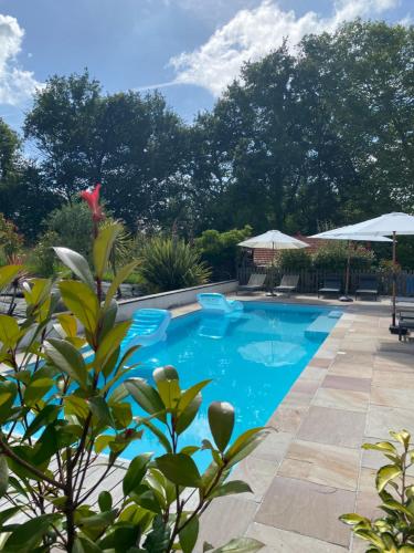 una piscina con sedie e ombrelloni in un cortile di Chambres d'hôtes Maison Narbay aux portes du pays Basque a Saint-André-de-Seignanx