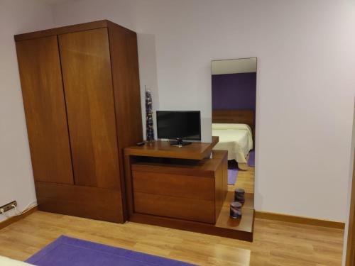 a bedroom with a bed and a television on a table at CASA PEDRASRUBIAS in Salceda