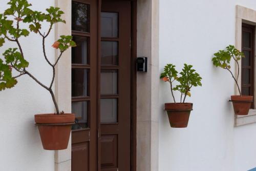two potted plants on the side of a door at Casa Nº5 - Vila d'Óbidos in Óbidos