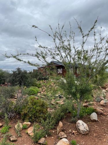 a house on top of a hill with a tree at Klein Karoo Game Lodge in Oudtshoorn