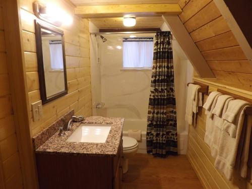 a bathroom with a sink and a toilet and a shower at Arizona Mountain Inn & Cabins in Flagstaff