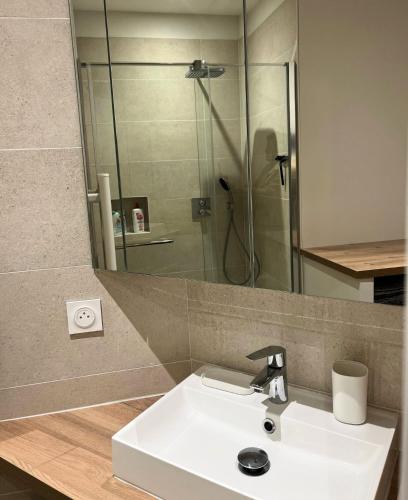 une salle de bain avec un lavabo blanc et une douche dans l'établissement La Suite des Arènes, à Bourges