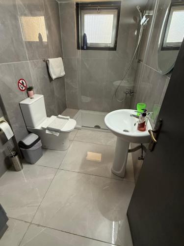 un baño con inodoro y lavabo en D Pitsillos Homes luxury, en Lárnaca