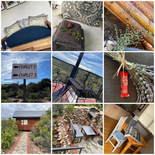 a collage of photos with different pictures of furniture at Klein Karoo Game Lodge in Oudtshoorn