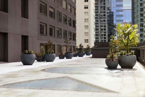 a courtyard with potted plants in front of buildings at JW Marriott Auckland in Auckland