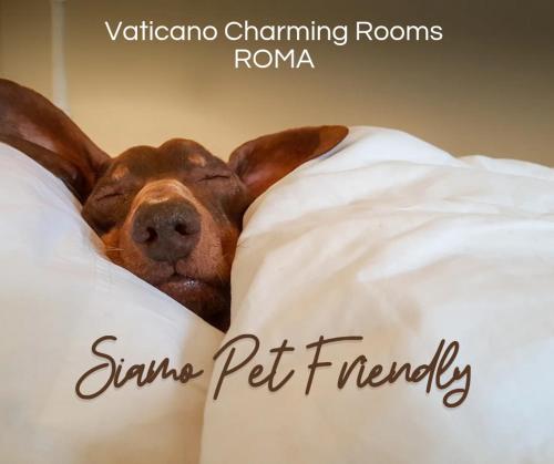 Vaticano Charming Rooms photo 8