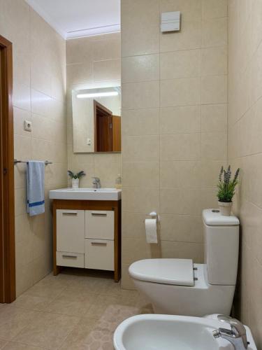a bathroom with a toilet and a sink at Nazaré Beach Apartments in Nazaré
