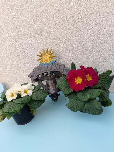 a flower pot with a peace corps sign and flowers at Il Giramondo in Montelabbate