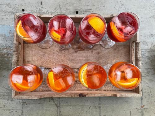 a tray of different types of drinks in glasses at Bolara 60: the Guesthouse in Grožnjan