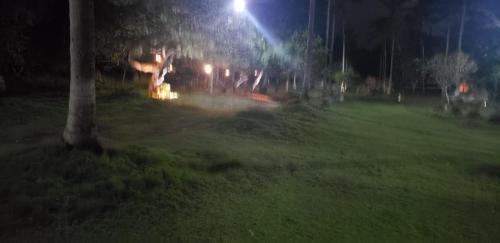 a group of people standing in a field at night at FAZENDA BOSQUE DAs PALMEIRAS in Itamaracá