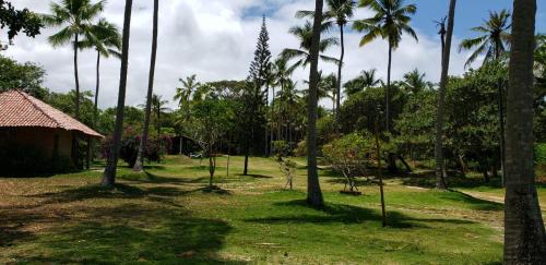 a group of palm trees in a field with a house at FAZENDA BOSQUE DAs PALMEIRAS in Itamaracá