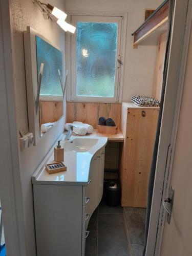 une petite salle de bain avec un lavabo et une fenêtre dans l'établissement La paloma, à Dun-le-Palestel