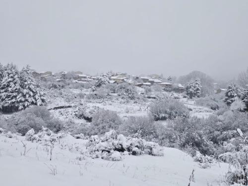 Fotografie z fotogalerie ubytování PENDAN DE GREDOS v destinaci San Martín del Pimpollar