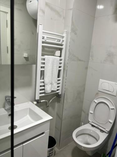 a small bathroom with a toilet and a sink at LiboroApartments in Niš