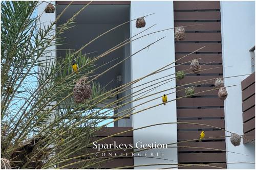 a group of birds perched on the branches of a palm tree at SG13 l Appartement en Résidence l Oasis palms in Mont Choisy