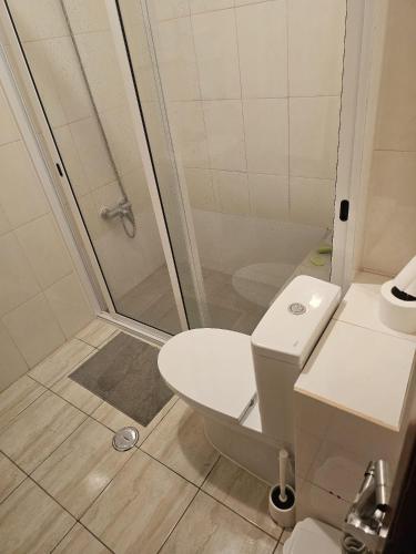 a bathroom with a shower and a toilet and a sink at Ritmo Turístico in Ponta do Sol