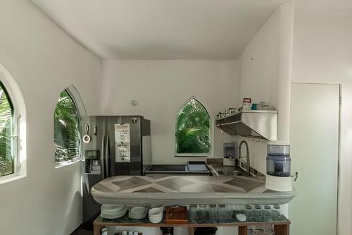 Una cocina o cocineta en Ecosoul Libelula villa
