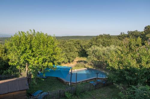 - une vue sur la piscine dans la cour dans l'établissement Les Oliviers - Le Chant des Tongs, à Salazac