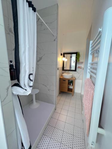 a small bathroom with a shower and a sink at La cigale et la fourmi savoisienne - chambre chez l habitant in Aix-les-Bains