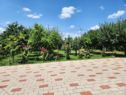 a garden with trees and pink flowers on a field at Vila Reghina in Alba Iulia