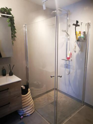 a shower with a glass door in a bathroom at Lofoten Seaview Apartment B in Sennesvik