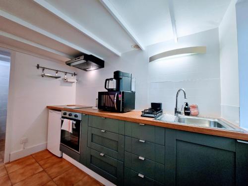 a kitchen with green cabinets and a sink at Petit Icaunais - Sejour a Auxerre in Auxerre