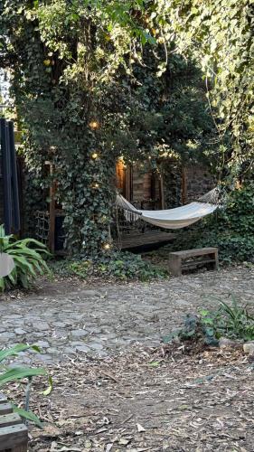 a hammock hanging from a tree in front of a building at Mindfulness Glamping, Retiro de Yoga, Todo Incluido in Mexico City