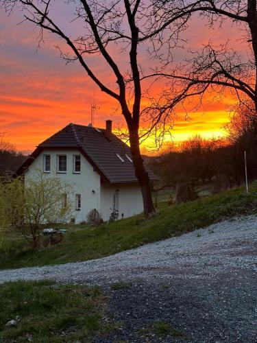 a white house with a tree and a sunset at Veselka in Dolní Bousov