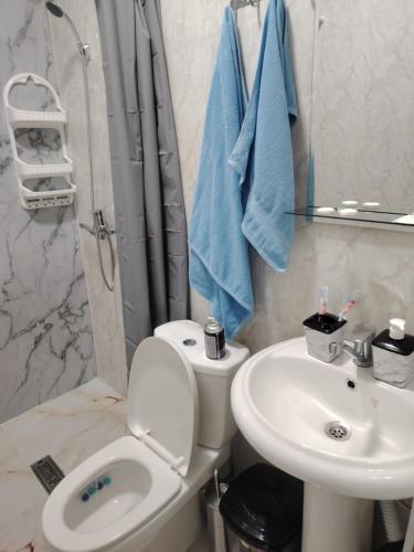 Un baño con un inodoro blanco y un lavabo. en EDeM, en Ereván
