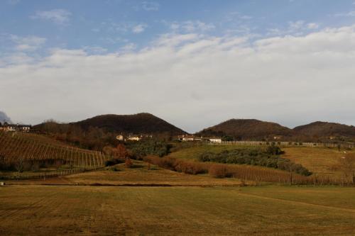 a view of a field with mountains in the background at Ida Boutique Hotel in Casa Marcolin