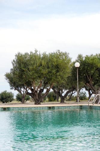 a pool of water with trees and a street light at Hotel Finca Olivar in Benissa
