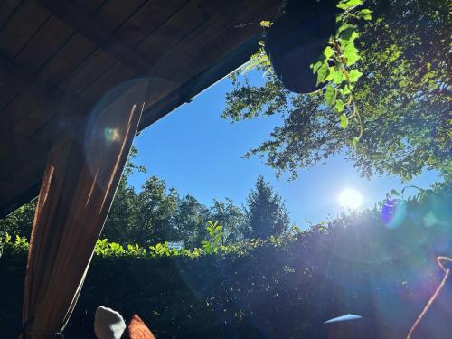 a view of the sun shining through a tree at Chalet Maurice in Zutendaal
