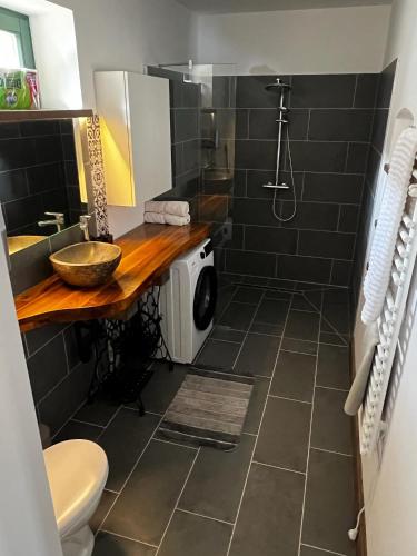 a bathroom with a sink and a toilet and a shower at Singer Vendégház in Bonyhád