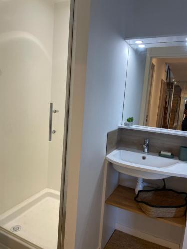 a bathroom with a sink and a mirror at Le gauguin in Toulouse