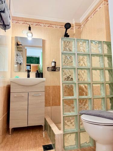a bathroom with a toilet and a sink at Marine's apartments in Symi