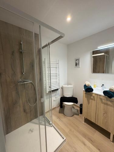 a bathroom with a shower and a toilet and a sink at Le studio louana Appartement neuf et discret tout confort in Aubusson