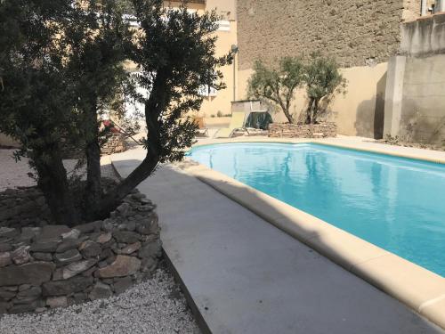 a swimming pool with a tree next to a building at Maison de vacances Olonzac in Olonzac